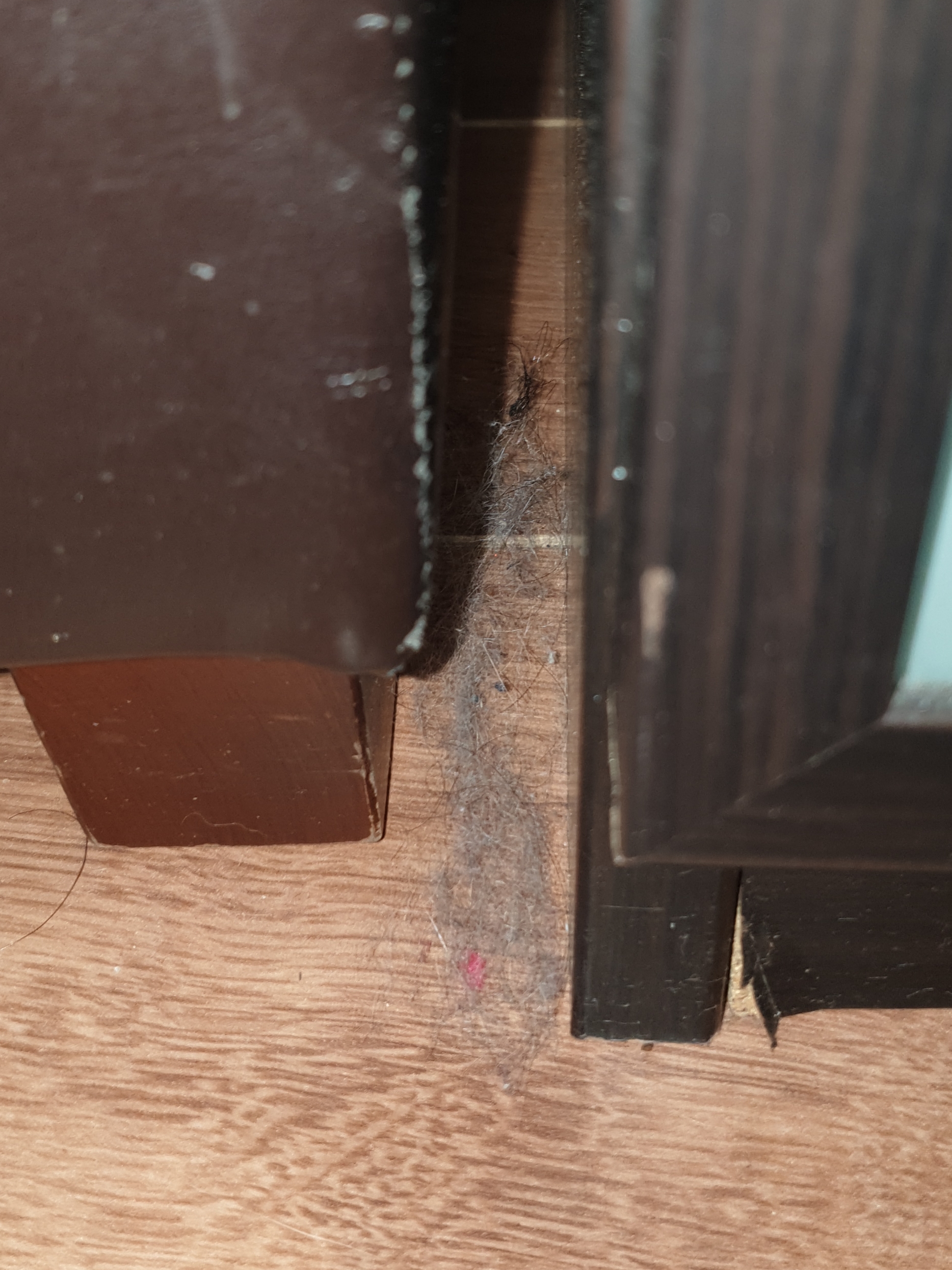 Photo n° 1 de l'avis de Elodie.. fait le 16/08/2019 à 05:33