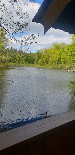 Nature Preserve «Oak Grove Nature Center», reviews and photos, 269 Oak Grove St, Manchester, CT 06040, USA