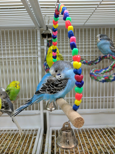 Pet Supply Store «Pet Supplies Plus», reviews and photos, 2927 Riley Fuzzel Rd #400, Spring, TX 77386, USA