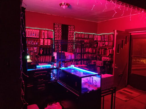 Adult Entertainment Store «Treasures», reviews and photos, 66 E 14th St, Chicago Heights, IL 60411, USA