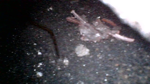 Auto Repair Shop «Simmons Automotive», reviews and photos, 5601 S Proctor St, Tacoma, WA 98409, USA