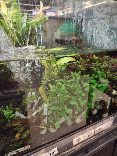 Pet Supply Store «Petco Animal Supplies», reviews and photos, 8800 Tampa Ave, Northridge, CA 91324, USA