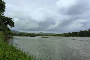 Periyar River image