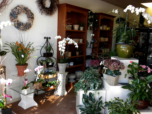 Florist «Cattails Florist», reviews and photos, 9000 Crow Canyon Rd m, Danville, CA 94506, USA