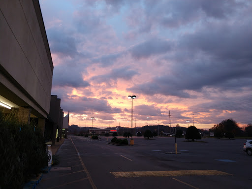 Grocery Store «Food Lion», reviews and photos, 125 Stuart Rd NE, Cleveland, TN 37312, USA