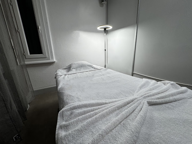 http://www.ecoleathenee.ch/