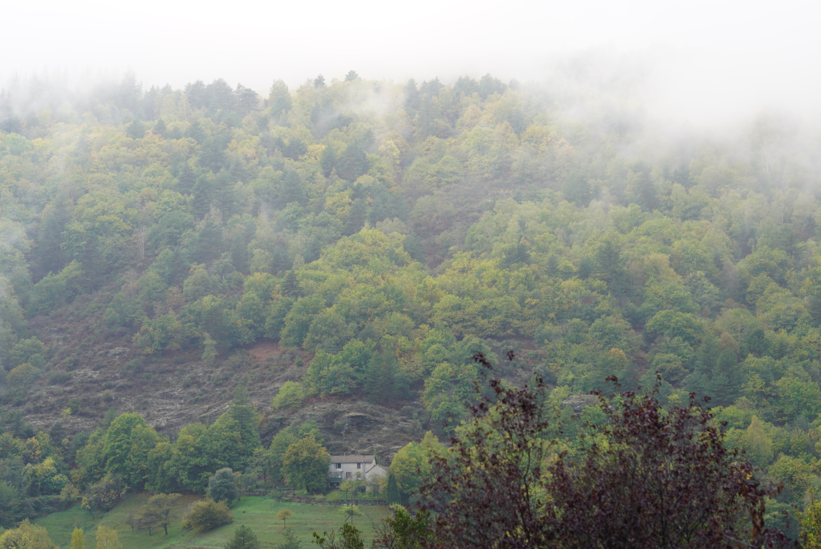 Photo n° 3 de l'avis de Pascal.a fait le 26/10/2022 à 15:03