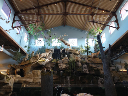 Sporting Goods Store «Bass Pro Shops», reviews and photos, 4500 Baldwin Rd, Auburn Hills, MI 48326, USA