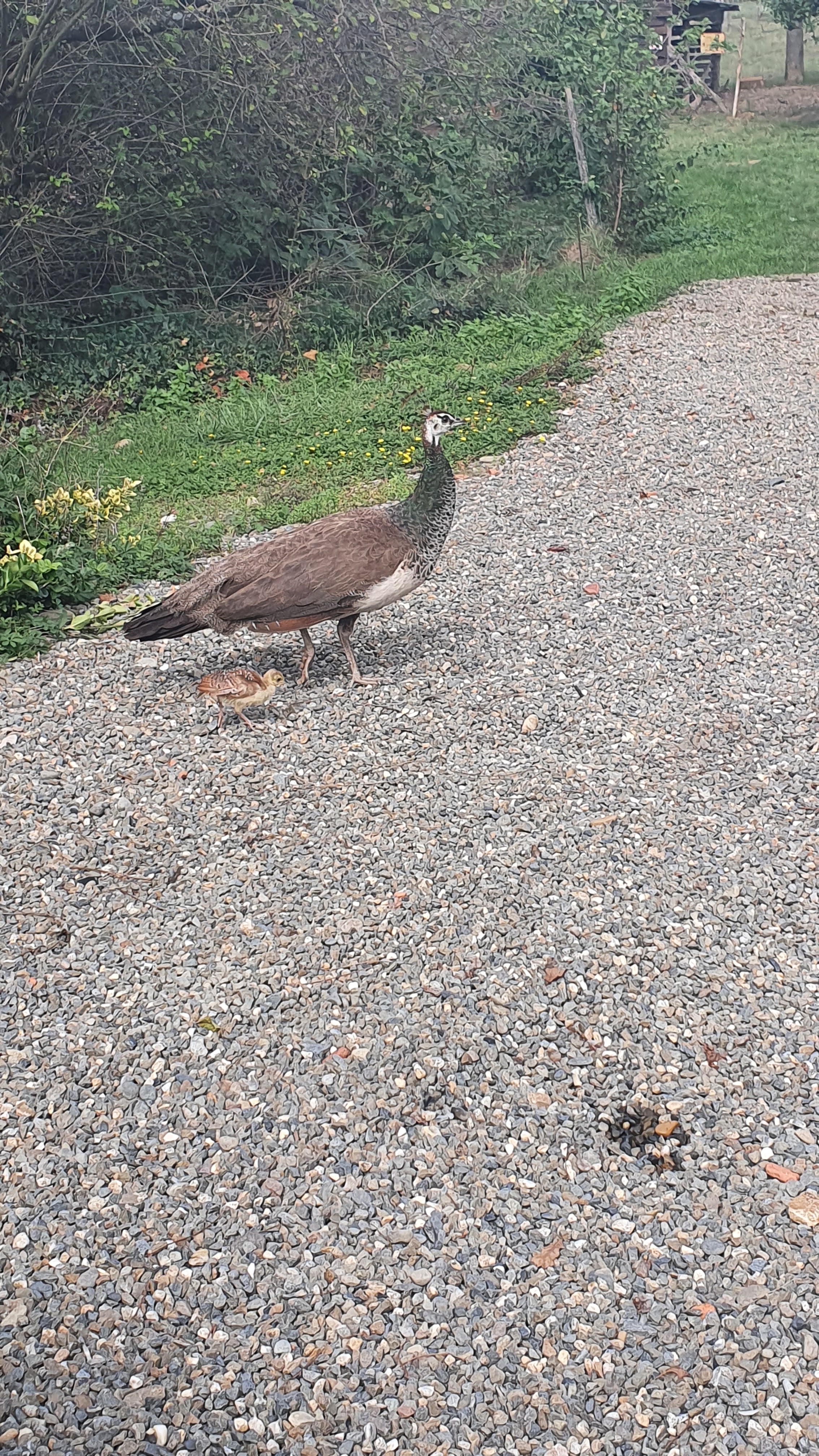 Photo n° 1 de l'avis de Carine.o fait le 29/09/2020 à 15:13