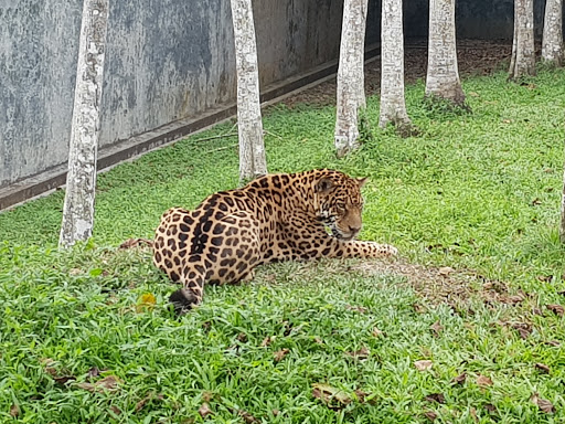Parque Zoológico San Juan
