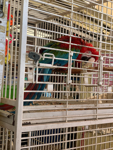 Pet Store «Pet Source 1901», reviews and photos, 1901 W 8th St B, Los Angeles, CA 90057, USA