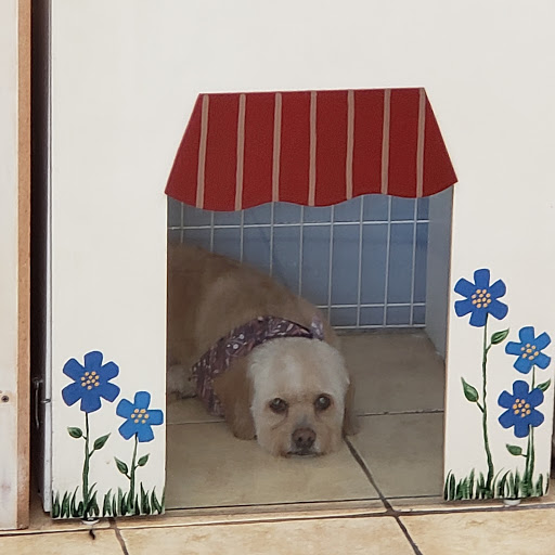 Pet Supply Store «Pet Haven», reviews and photos, 626 N Glenoaks Blvd, Burbank, CA 91502, USA