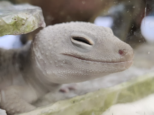 Pet Supply Store «Petco Animal Supplies», reviews and photos, 129 Mall Way, Marysville, WA 98270, USA