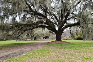 Johns Island County Park - Mullet Hall image