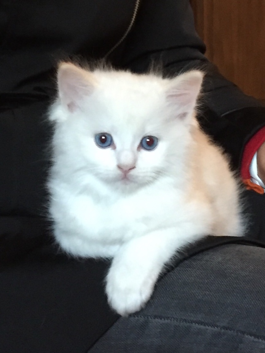 Photo n° 1 de l'avis de Isabelle.h fait le 01/06/2018 à 05:55