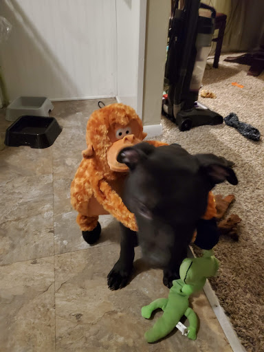 Pet Supply Store «Pet Supplies Plus», reviews and photos, 4920 Wilson Ave SW Suite 100, Grandville, MI 49418, USA