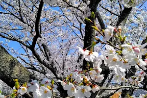 Kiyamacho Central Park image