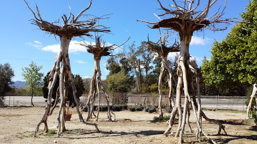 Florist «Loose Caboose LLC», reviews and photos, 18492 E Telegraph Rd, Santa Paula, CA 93060, USA