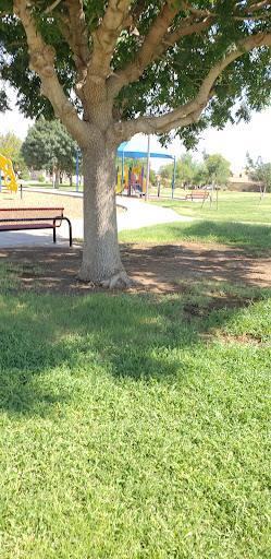 Park «Chuckwalla Park», reviews and photos, 4600 E Doral Dr, Chandler, AZ 85249, USA