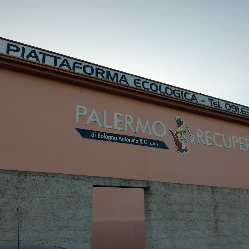 Palermo Recuperi Di Bologna Antonino & C. Sas