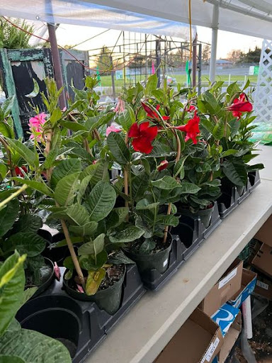 Florist «TG Designs», reviews and photos, 19231 Longmeadow Rd, Hagerstown, MD 21742, USA