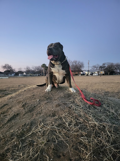 Park «Arnold Park», reviews and photos, 1011 Gillette Blvd, San Antonio, TX 78224, USA