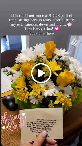 Car Dealer «Auto Outpost North Inc», reviews and photos, 4710 W Elm St, McHenry, IL 60050, USA