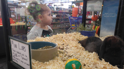 Pet Supply Store «Pet Fun At Harden Ranch Plz», reviews and photos, 1780 N Main St, Salinas, CA 93906, USA