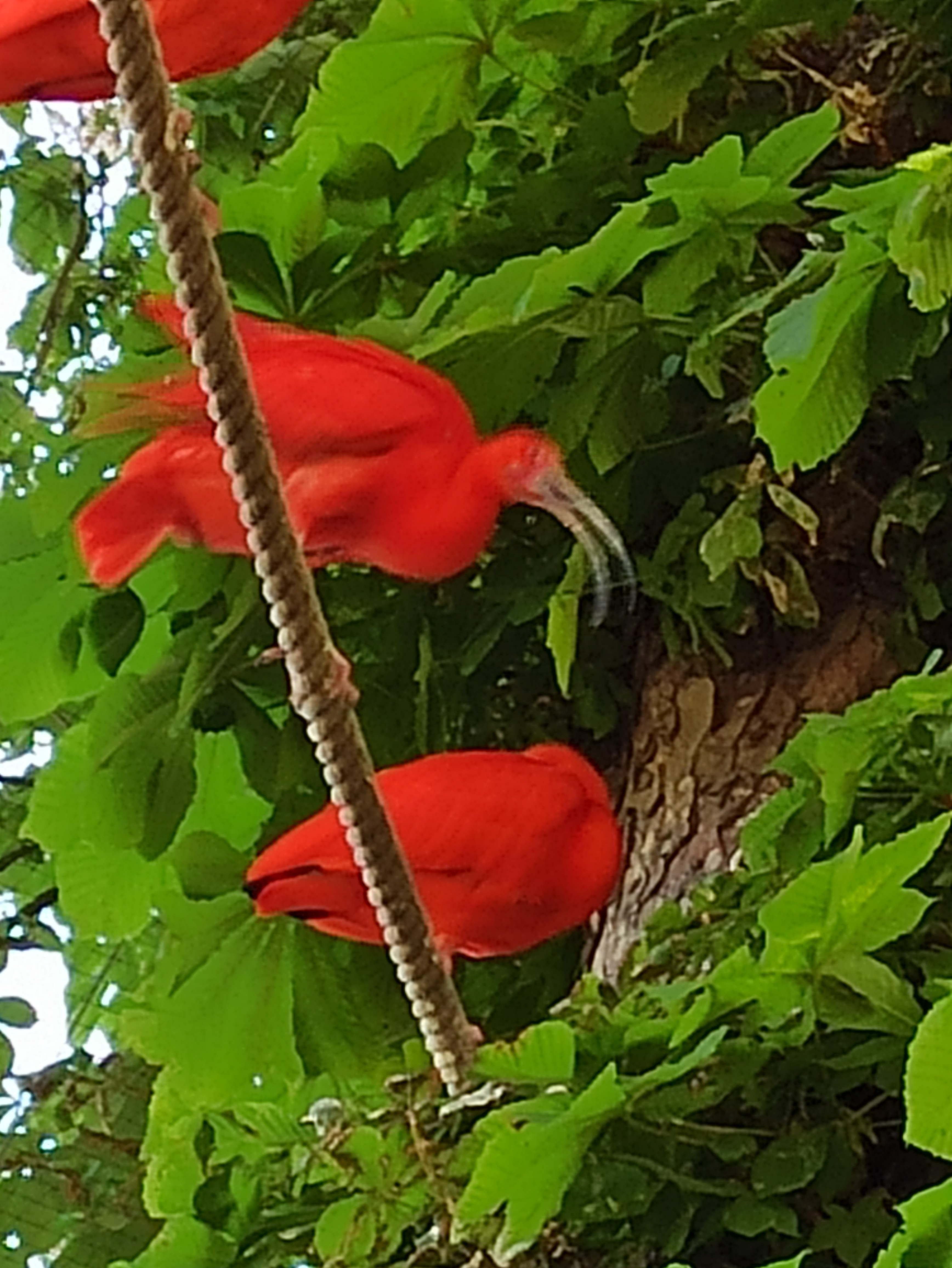 Photo n° 4 de l'avis de Johannes.o fait le 21/02/2019 à 14:04