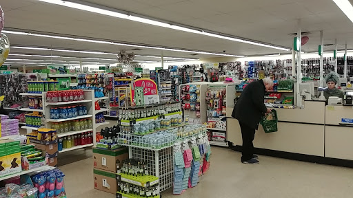 Dollar Store «Dollar Tree», reviews and photos, 181 S Rosemead Blvd, Pasadena, CA 91107, USA