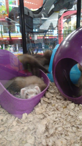 Pet Supply Store «Petco Animal Supplies», reviews and photos, 35 Fort Eddy Rd, Concord, NH 03301, USA