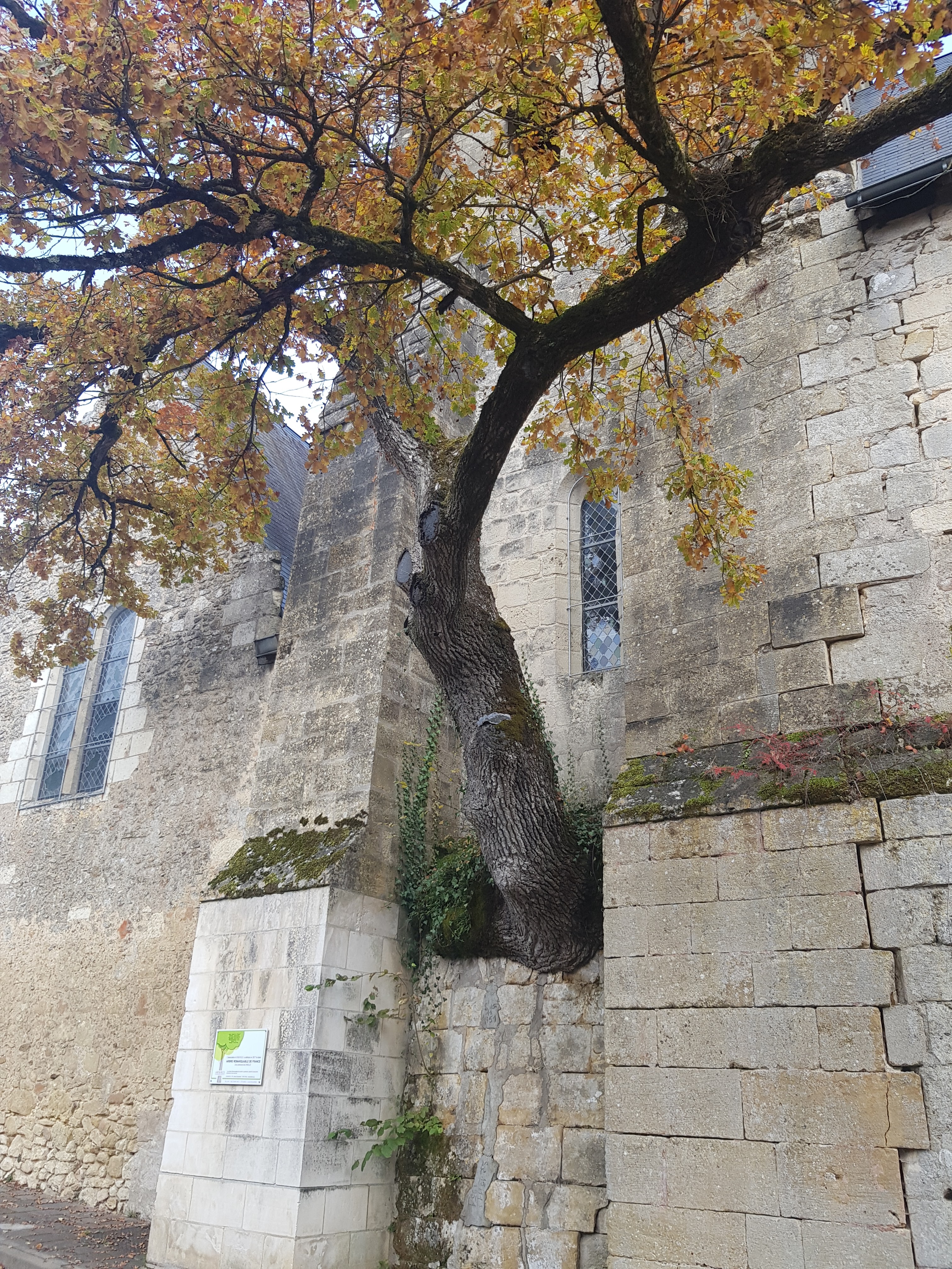 Photo n° 1 de l'avis de denis.. fait le 30/11/2021 à 14:53