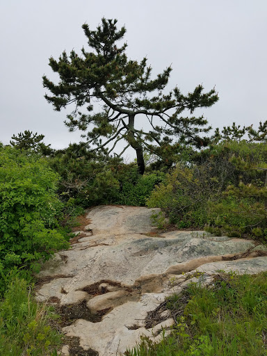 Hiking Area «Black Point Trailhead», reviews and photos, 655 Ocean Rd, Narragansett, RI 02882, USA