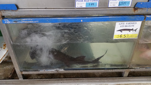 Asian Grocery Store «Viet-Wah Asian Food Market», reviews and photos, 2825 NE Sunset Blvd, Renton, WA 98056, USA