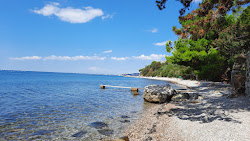Photo de Liburnia Beach situé dans une zone naturelle