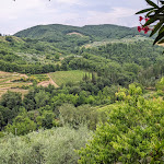 Photo n°3 de l'avis de Lisa.a fait le 30/06/2023 à 15:36 sur le  I'Desìo à Montefioralle