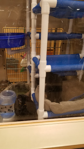 Pet Supply Store «PetSmart», reviews and photos, 3 McKenna Rd, Arden, NC 28704, USA