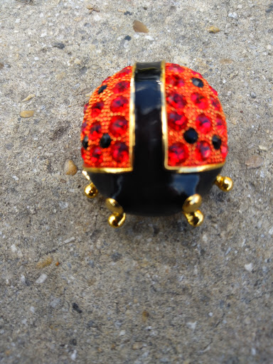 Thrift Store «Family Services Thrift Shop», reviews and photos, 122 W Advogt St, Boerne, TX 78006, USA