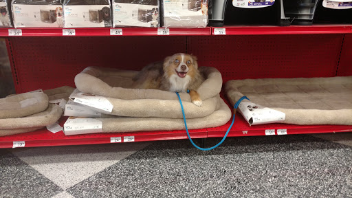 Pet Supply Store «Petco Animal Supplies», reviews and photos, 201 N Summit Ave, Lewisville, TX 75067, USA