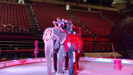 Arena «Donald L. Tucker Civic Center», reviews and photos, 505 W Pensacola St, Tallahassee, FL 32301, USA