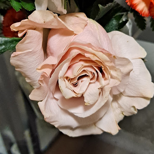 Florist «Four Seasons Floral», reviews and photos, 2087 Drew St, Clearwater, FL 33765, USA