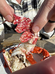 Photo n°59 de Ets Ven Les Huîtres de l’Île Blanche- Carantec à Carantec ()