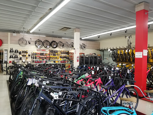 Bicycle Store «Orange Cycle», reviews and photos, 2204 Edgewater Dr, Orlando, FL 32804, USA