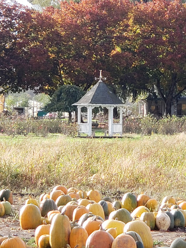 Railroad Company «Flower Farmer», reviews and photos, 2512 N Holly St, Canby, OR 97013, USA