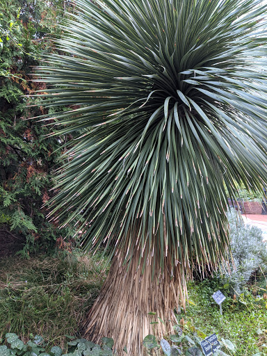 Museum «Smithsonian Castle», reviews and photos, 1000 Jefferson Dr SW, Washington, DC 20560, USA