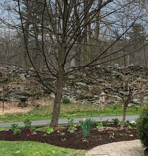 Garden Center «Victoria Gardens», reviews and photos, 1 Cottekill Rd, Rosendale, NY 12472, USA