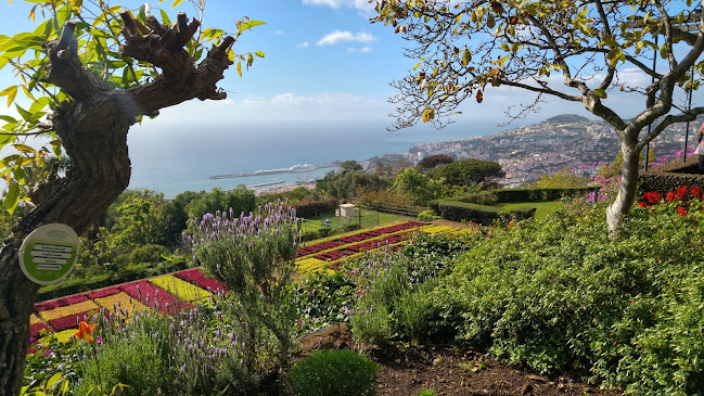 Jardim Botânico da Madeira - Jardinagem