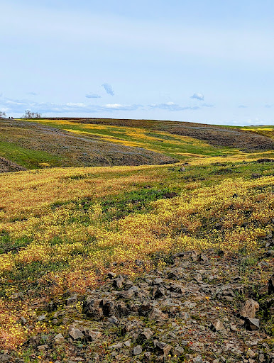 North Table Mountain Ecological Reserve