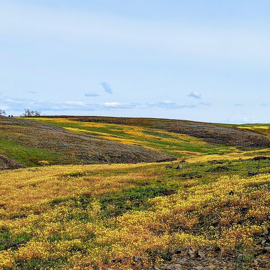 North Table Mountain Ecological Reserve