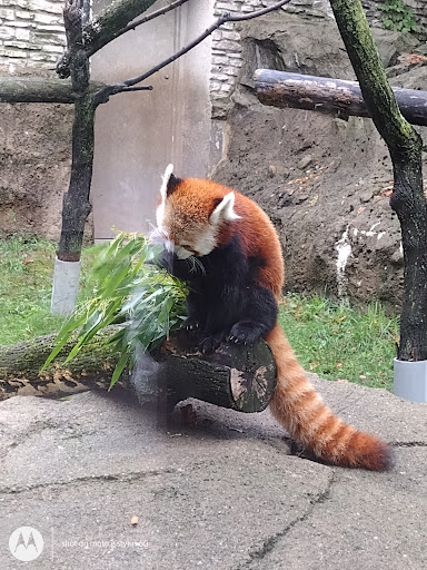 Park «Delaware Park», reviews and photos, Meadow Dr, Buffalo, NY 14214, USA